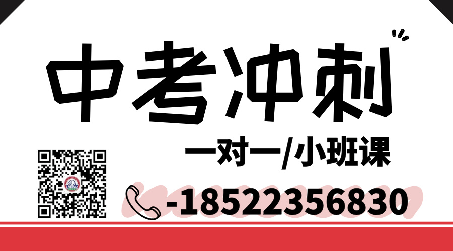天津初三中考冲刺一对一辅导：精准提分，决胜中考【市六区+环城四区+武清+宝坻+静海+滨海】(1)