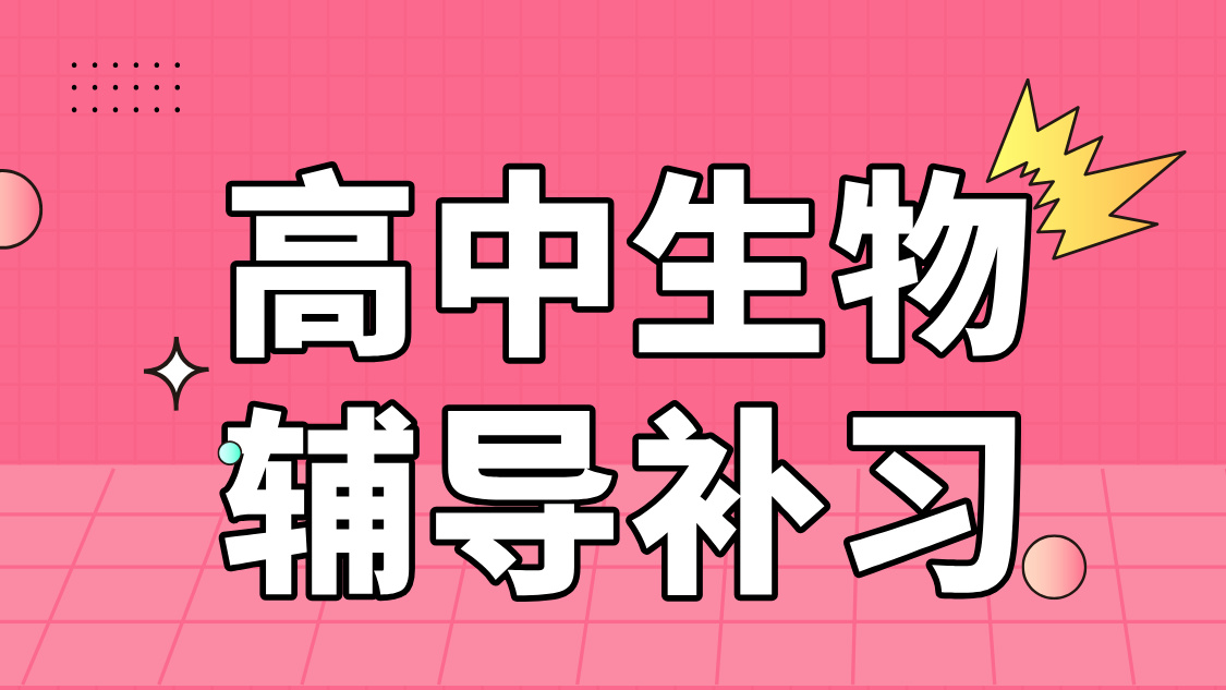 石家庄高考生物辅导：专业教师领航，精准提分突破