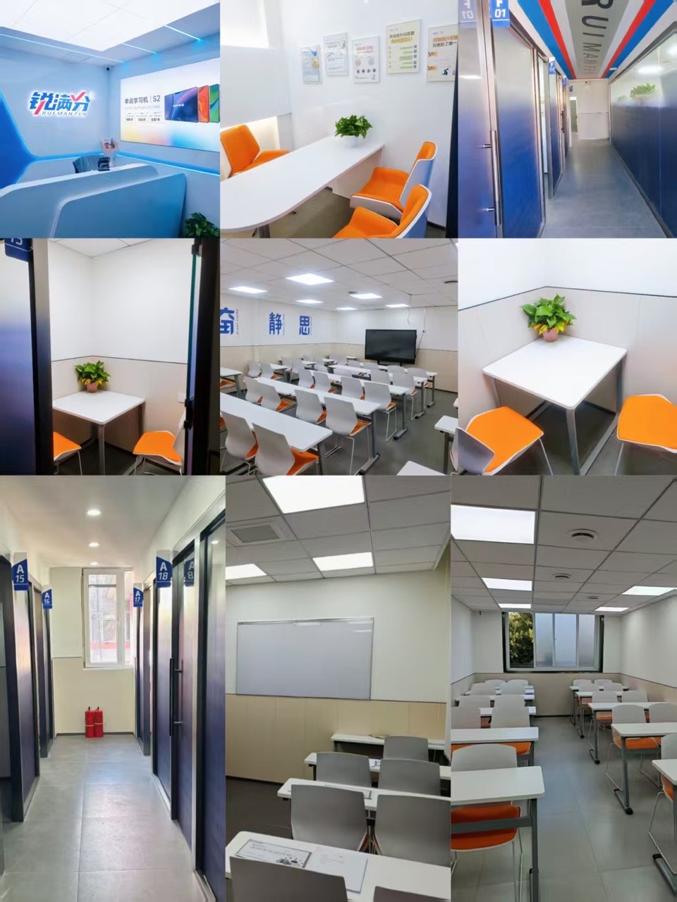 [2026寒假]石家庄高三高考冲刺班哪家好？石家庄高三高考冲刺班推荐(1)