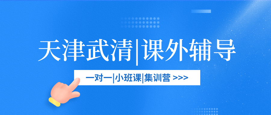 [测评]-天津武清区高中课外一对一辅导机构详细分析报告(2026年版)(1)