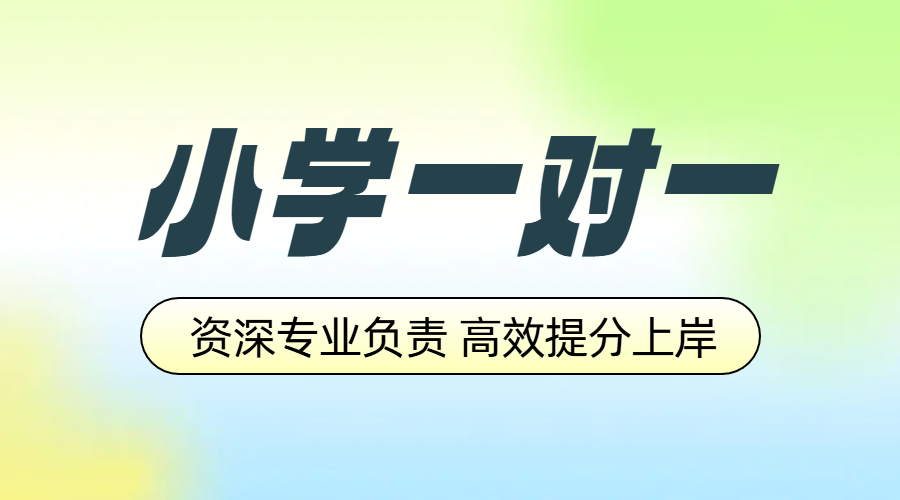北京海淀/西城/昌平小学生一对一辅导补课：让孩子成绩“狂飙”