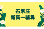 石家庄裕华长安新华桥西：初升高新高一先修