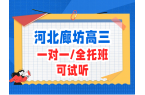  廊坊广阳安次燕郊高三补课选一对一还是全