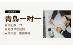 2026青岛初三暑假一对一辅导哪家好？一