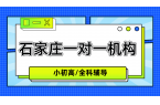 #2026年石家庄一对一机构-石家庄一对