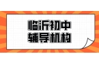 临沂兰山初中物理辅导_攻克概念懂了做题错